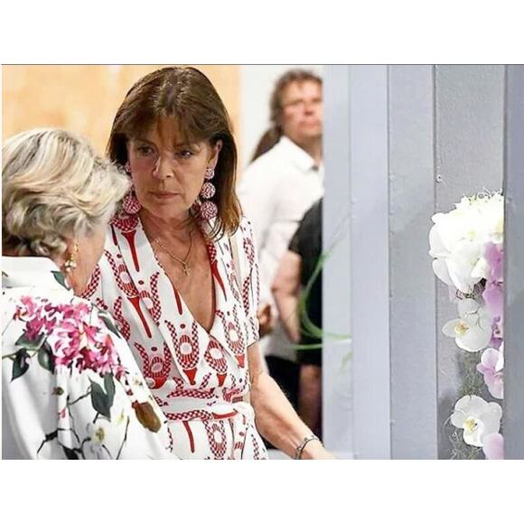 BNWT +Receipt: Rebecca de Ravenel Classic 3 drop Sara Limited Edition Clip On - Picture 8 of 8